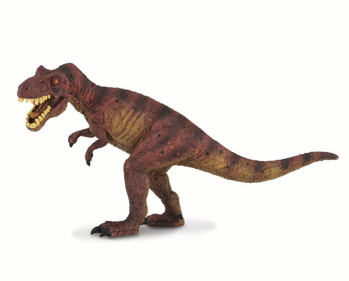 T-Rex – Box, Incorporated T-Rex – Box, Incorporated