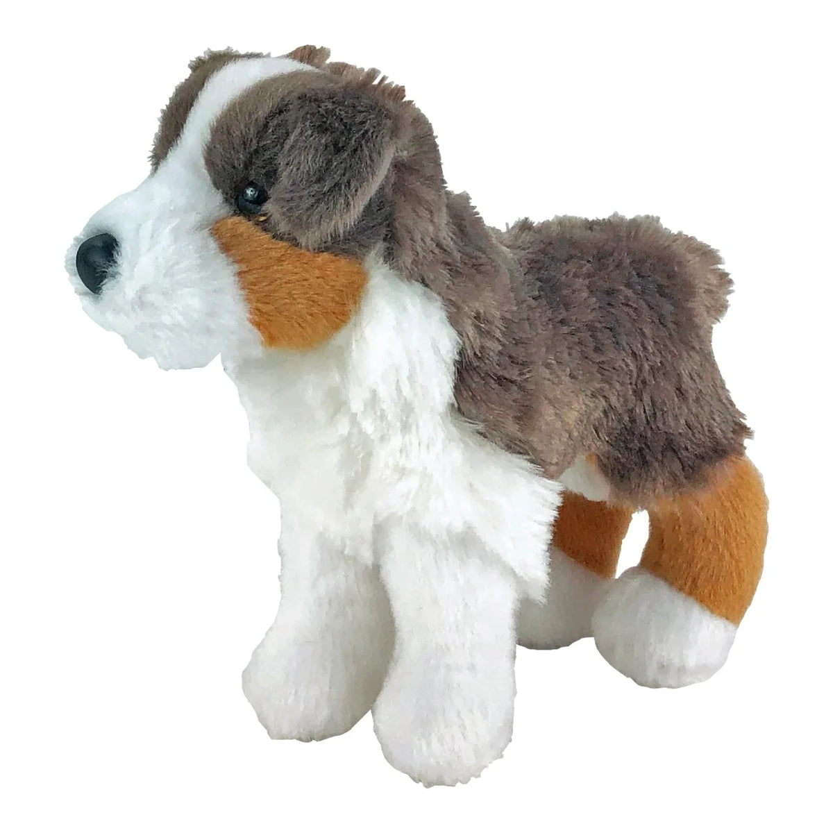 BC Plush Aussie – Box, Incorporated