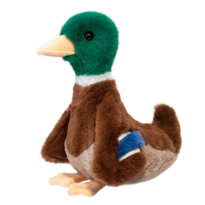 Desi Mallard Duck