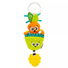 Load image into Gallery viewer, Clip &amp; Go Carrott
