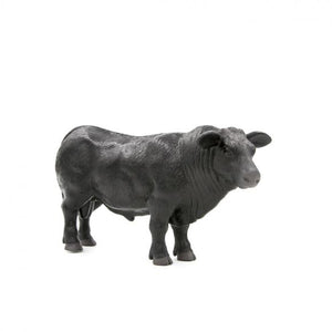Black Angus Bull
