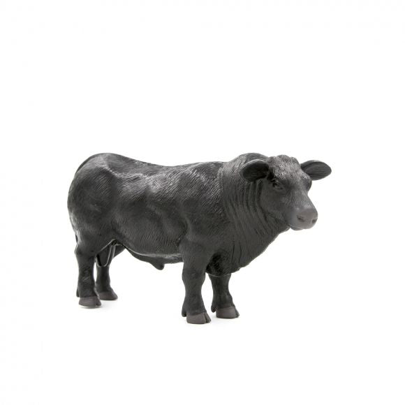 Black Angus Bull
