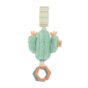 Itzy Ritzy Jingle Cactus