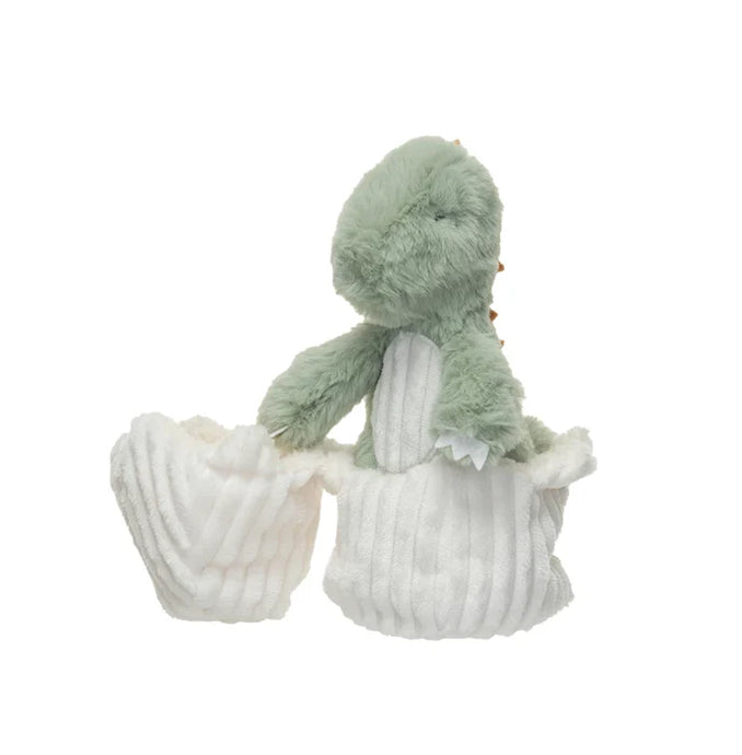 Dino Egg Toy