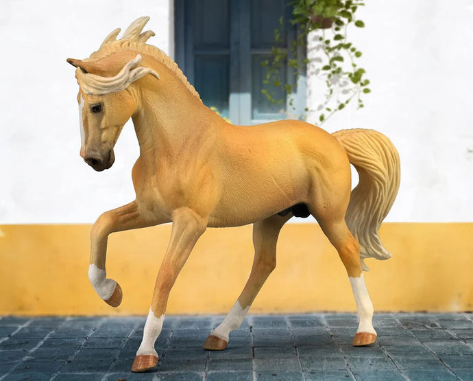 Andalusian Stallion | Palomino