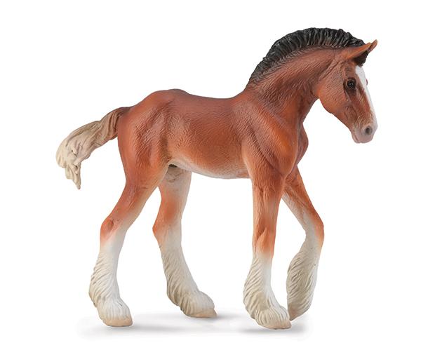 Bay Clydesdale Foal
