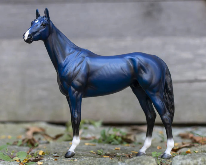 Big Lex Decorator Thoroughbred