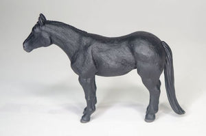 Black Horse