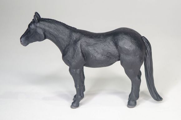 Black Horse