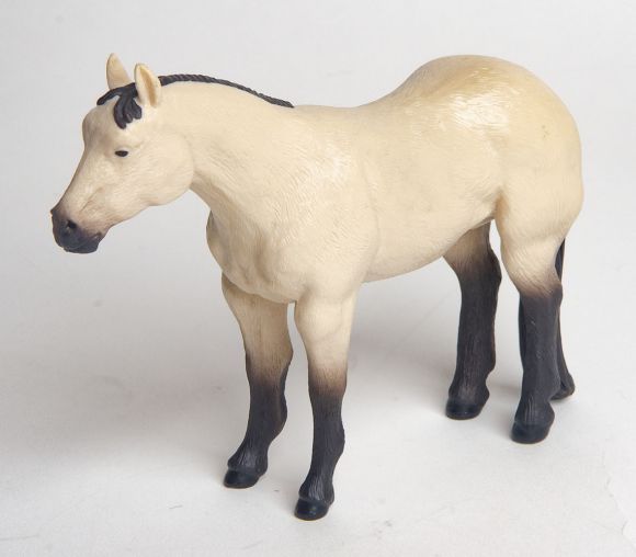 Buckskin Horse
