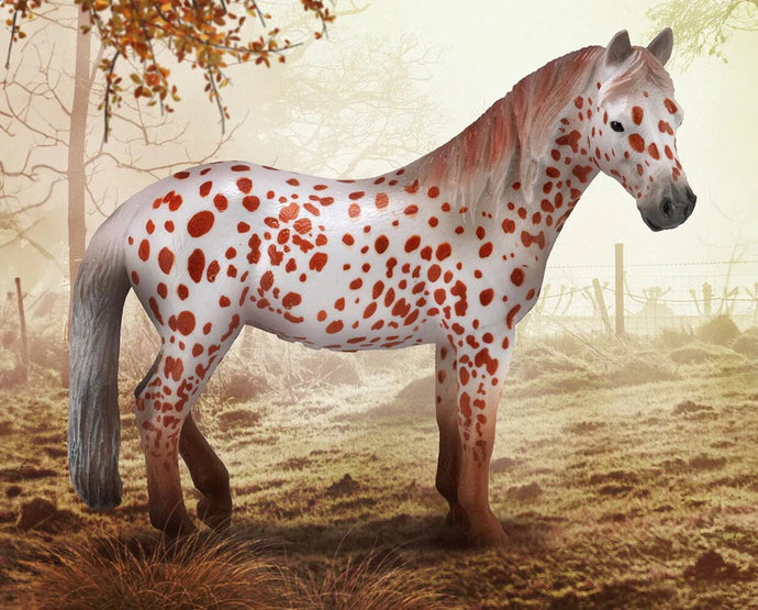 Chestnut Leopard British Spotted Pony Mare