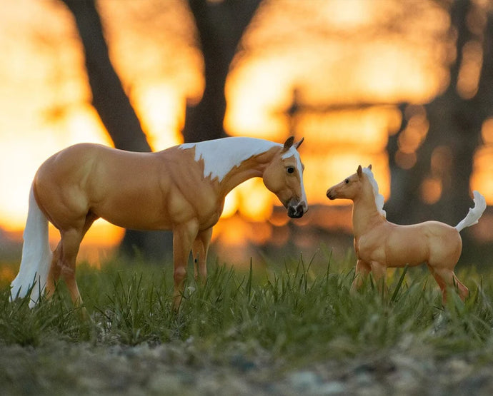 Ebony Shines & Charlize: Quarter Horse Set