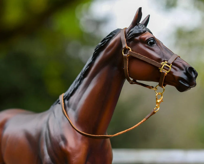 Leather Halter