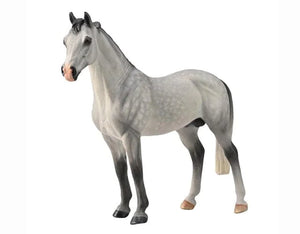 Hanovarian Stallion
