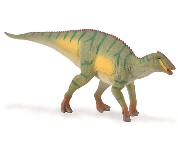 Kamuysaurus