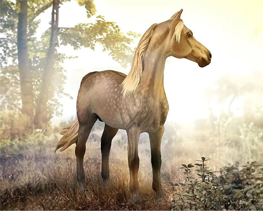 Morgan Stallion