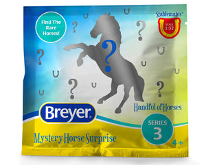 Mystery Horse Surprise