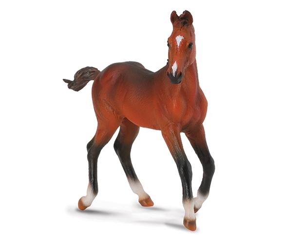 Bay Quarter Horse