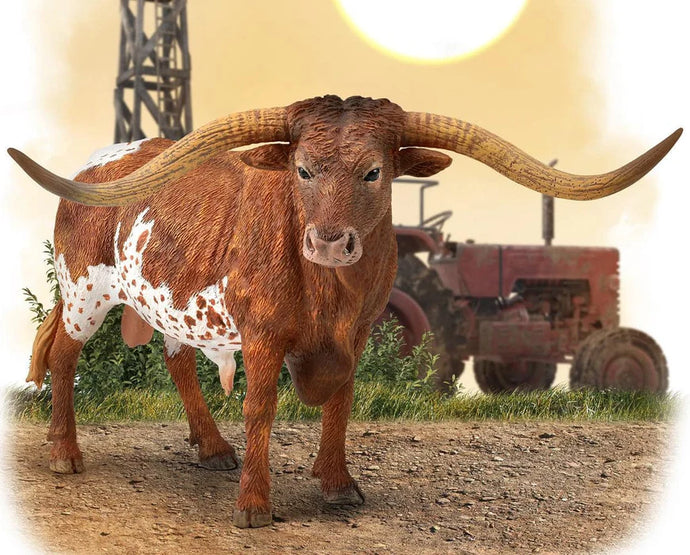 Texas Longhorn Bull