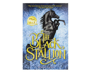 Black Stallion & Book Set