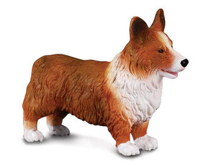 Corgi