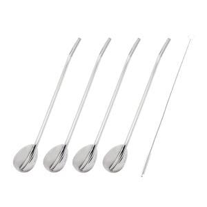 5pc Spoon Straw Set