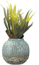 Load image into Gallery viewer, Distressed Terra Cotta Planter