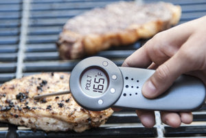 Talking Temp Digital Thermometer