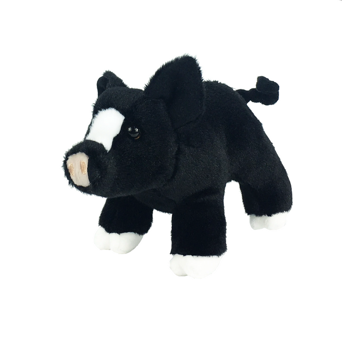 Timmy The Pig
