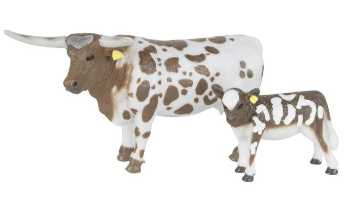 Longhorn Cow And Calf