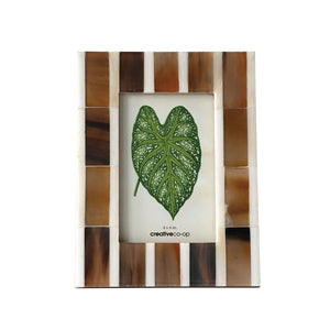 4x6 Horn Picture Frame