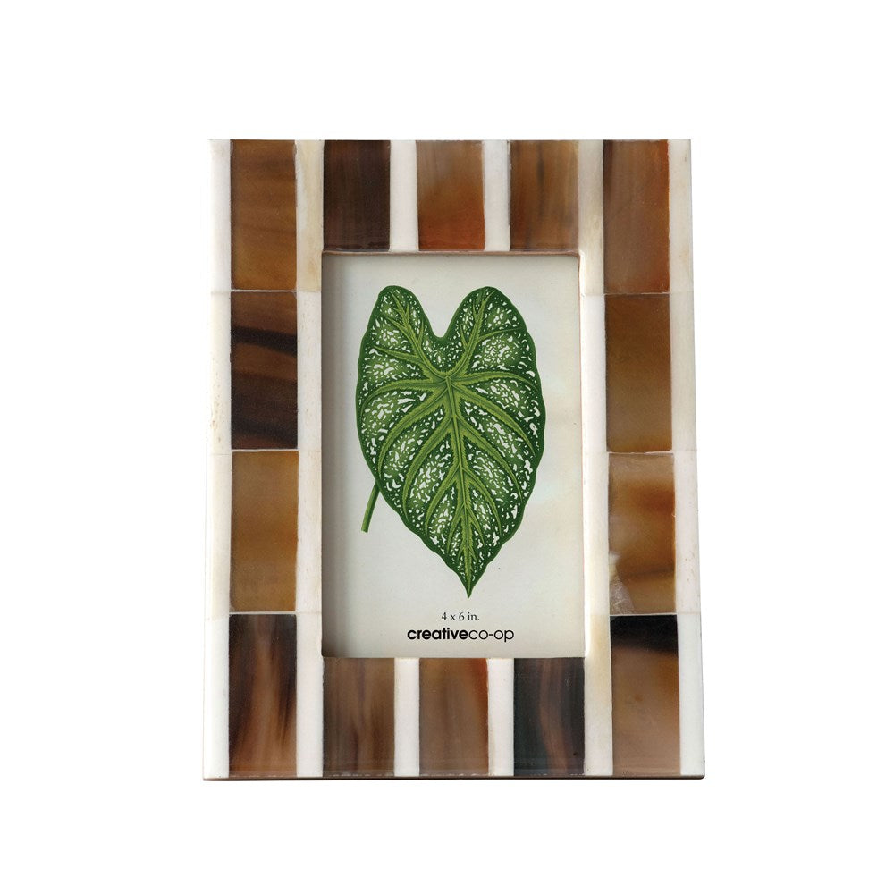 4x6 Horn Picture Frame