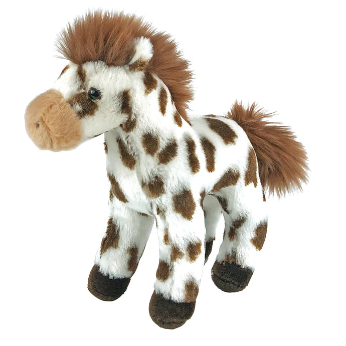 Bud Bud the Appaloosa