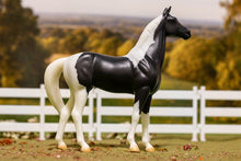 Load image into Gallery viewer, NATIONAL VELVET WITH BOOK